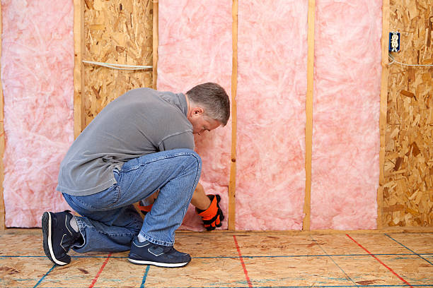 Best Specialized Insulation Services in Bluewell, WV